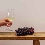 Dégustation de vins bio