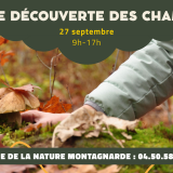 Sortie découverte des champignons
