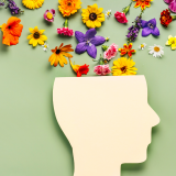 La Semaine d’Information sur la Santé Mentale (la SISM)