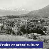Conférence : « L’économie du Verger, fruits et arboriculture dans l’ancienne Savoie » (XIII-XIXe s.)