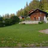 Chalet - 75m² - n°701