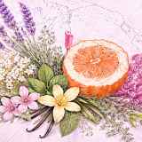 7ème édition - Quand les plantes se font la malle