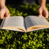 Lecture en plein air