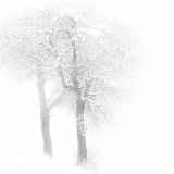 Exposition photographique : Tourmente