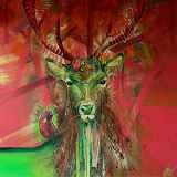 Exposition : "Connexions" d'Hélène Vandelanoitte