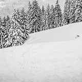 Sorties originales pour le week-end du 24 février