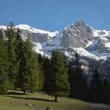 Balade découverte du Cirque du Fer-à-Cheval au printemps