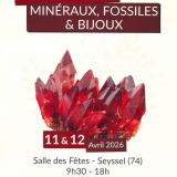 Exposition vente de minéraux & fossiles