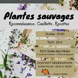 Plantes sauvages