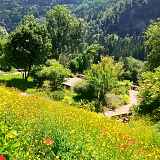 Jardin Alpin