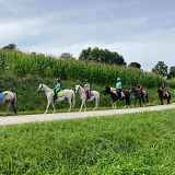 Ecuries des pious