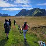 3 Journées découverte des chiens de traineaux