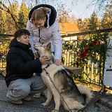 Sortie cani-balade face au Mont-Blanc