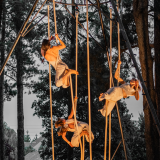 Ah! La belle saison / Théâtre des Collines -  " Les Baudrières "  Compagnie l'Encordée