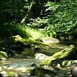 Parcours pêche, Le Brevon à Bellevaux