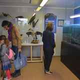 Écomusée de la pêche et du lac - Journées européennes du patrimoine 2026
