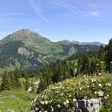 Journée Ecolovie - 21ème édition