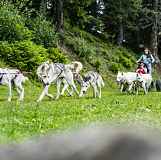 Initiation encadrée au cani'kart