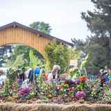 Folie(s) Végétales 2026 - Stand d'artisanat végétal