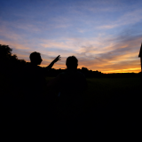 Nuit Safari