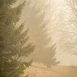 Lumières d'alpages : un printemps et un été à Combloux - Exposition de Caroline Gallien-Lavorel