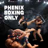 Gala Kick Boxing et MMA : PHENIX BOXING ONLY N°13