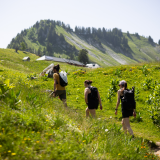 Projection d'un film autour du pastoralisme