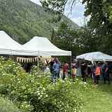Festival Les Nuits des Forêts