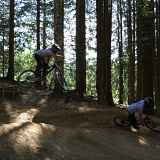 Noire - Pleney - La Noire