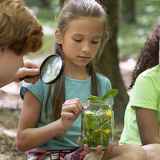 Folie(s) Végétales 2026 - Ateliers Natur'Envie
