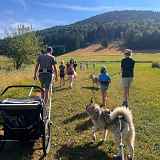 Activités chiens nordiques sur le plateau des Moises