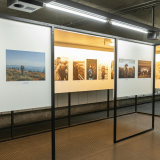 Exposition photo - Beauté du monde vivant