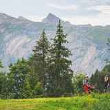 Bleue - Pleney - La Twisty