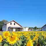 La Fruitière - Magasin de Producteurs