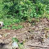Chantier nature à Outredière