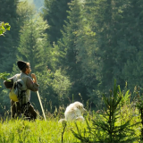 Conférence : Comment donner une voix à la vie sauvage ?