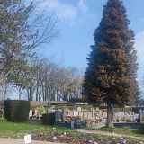 Le Printemps des Cimetières à Seynod