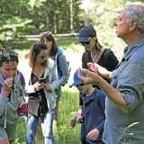 Balade familiale : Découverte des plantes sauvages