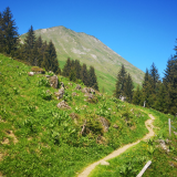 Itinéraire pédestre - Le Môle depuis les Granges