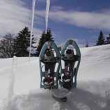 Sortie raquettes :  Le Torbiau