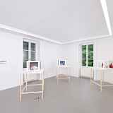 Visite artiste-commissaire : art et activisme