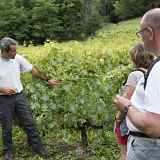 Les secrets du vignoble de Féternes