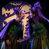 Spectacle jeune public - Plume