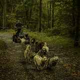 Cani Kart