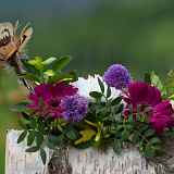 Atelier : création déco jardin, boule végétale