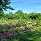 Atelier jardin partagé - Fête du Sol Vivant