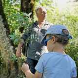 Balade  familiale : à la rencontre des plantes sauvages