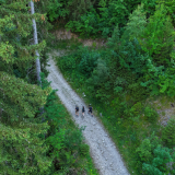 Randonnée pédestre : Boucle verte des écureuils