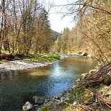 Parcours pêche à la mouche, La Menoge en Vallée Verte