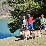 Canirandonnée avec les chiens de traîneaux (pour ados et adultes)